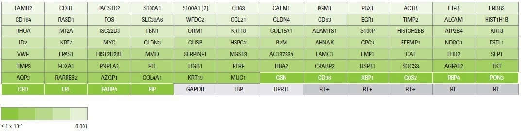 Constructing NGS libraries for RNA-sequencing