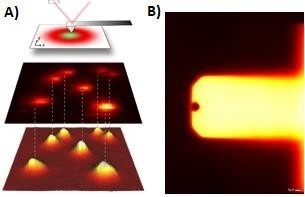 AFM in living cell experiments