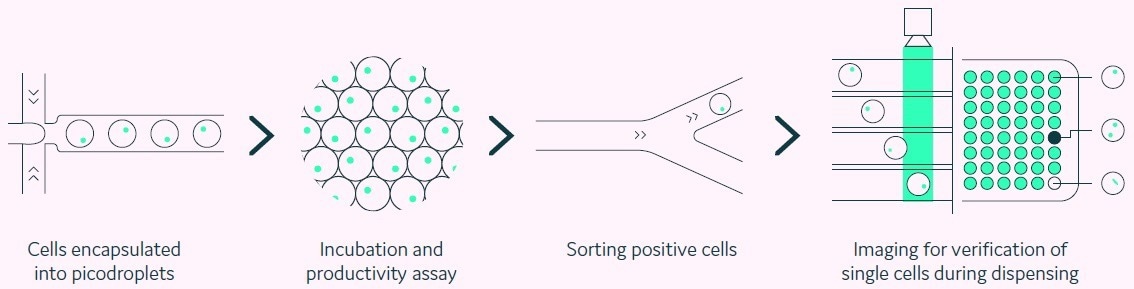 Cell line development with the Cyto-Mine®