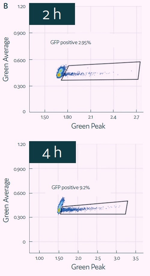 An introduction to cell engineering in picodroplets