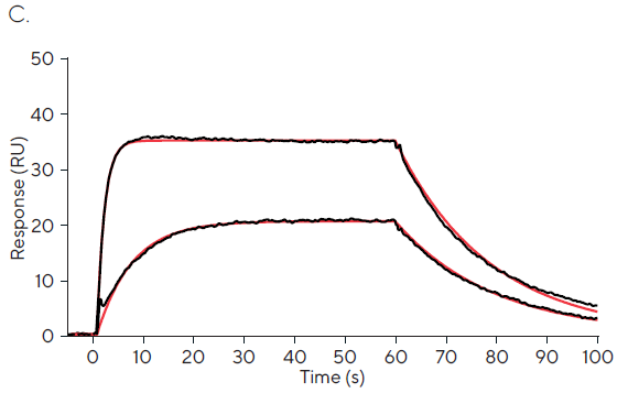 Assessing small molecule kinetics and affinity through SPR screening