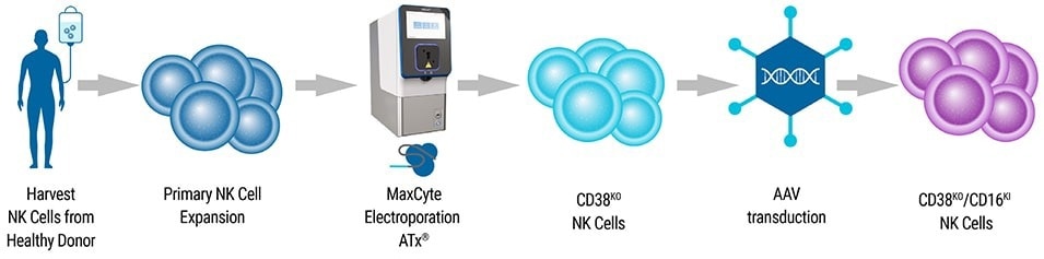 NK cell engineering with MaxCyte®