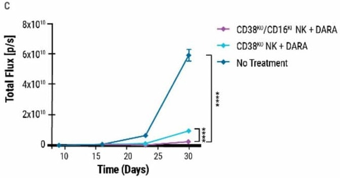 NK cell engineering with MaxCyte®