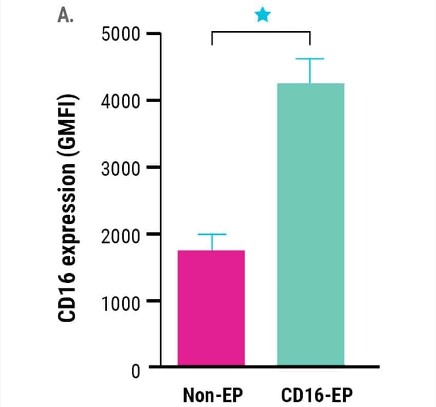Role of NK cells for enhanced combination therapy to treat B-cell lymphoma