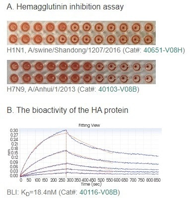 An alternative to fertilized chicken egg influenza vaccine production