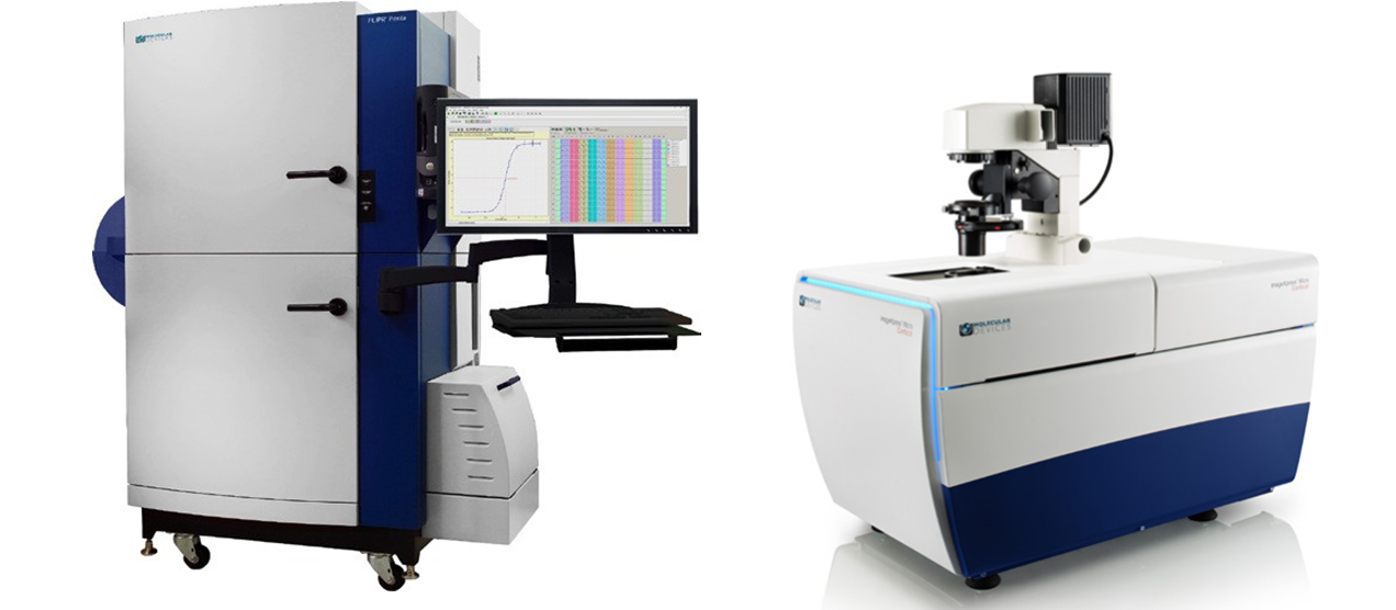 How does the FLIPR Penta System Allow for Better Resolution Calcium Oscillation Patterns in Cardiomyocytes?
