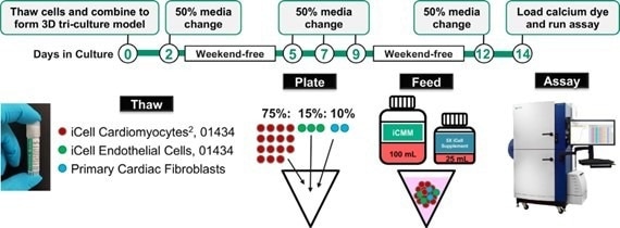 How does the FLIPR Penta System Allow for Better Resolution Calcium Oscillation Patterns in Cardiomyocytes? How does the FLIPR Penta System Allow for Better Resolution Calcium Oscillation Patterns in Cardiomyocytes?