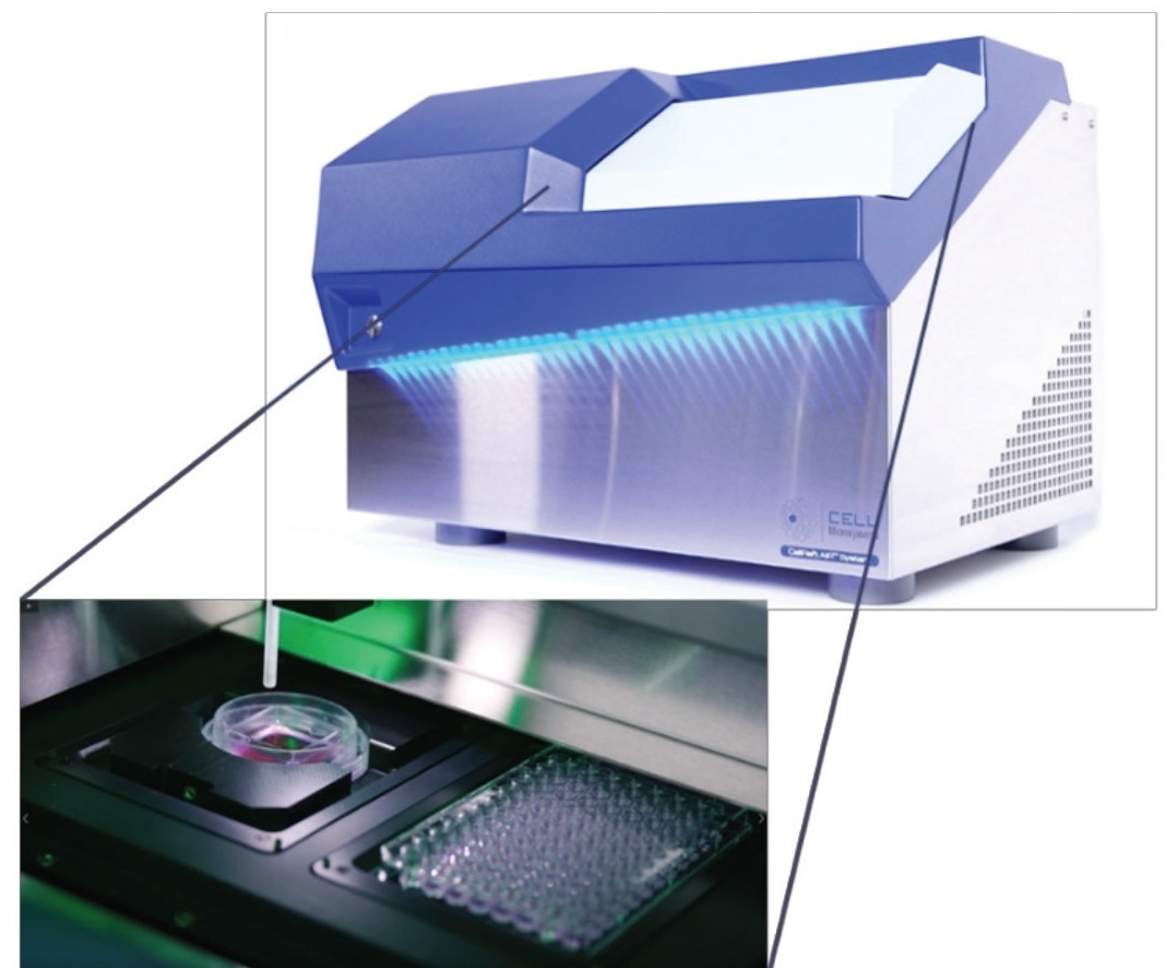 Overcoming the challenges of limiting dilution