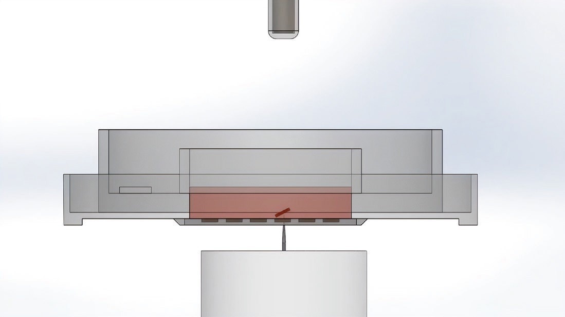 Overcoming the challenges of limiting dilution