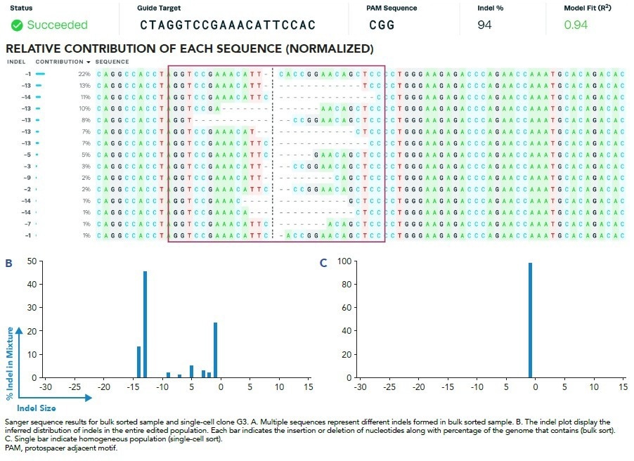 How to accelerate the generation of single-cell clones