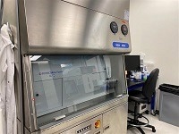 How to accelerate the generation of single-cell clones