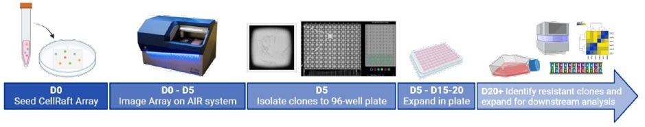 How to accelerate the development of in-vitro models of chemoresistance?