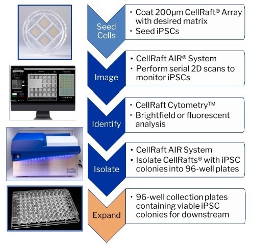 How to accelerate the use of iPSCs in drug development