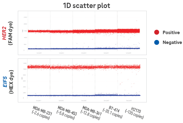 Qualitative 1D scatter plot showing distinct clustering and minimal rain. The results show increased HER2 signal relative to EIF5 in proportion to copy number. Each section of the chart represents one sample, and each dot represents one partition. The distinct clustering and minimal rain demonstrate optimal assay performance and high signal-to-noise ratio. 8 ng of cell line DNA was included per filling reaction on the 100,000-well High-Resolution Plate (cell lines are labeled above with expected HER2 copy number)