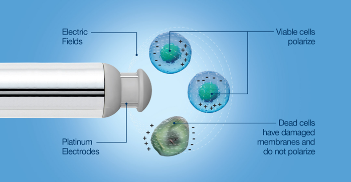 Cell culture monitoring: exploring permittivity measurements versus viable cell counts