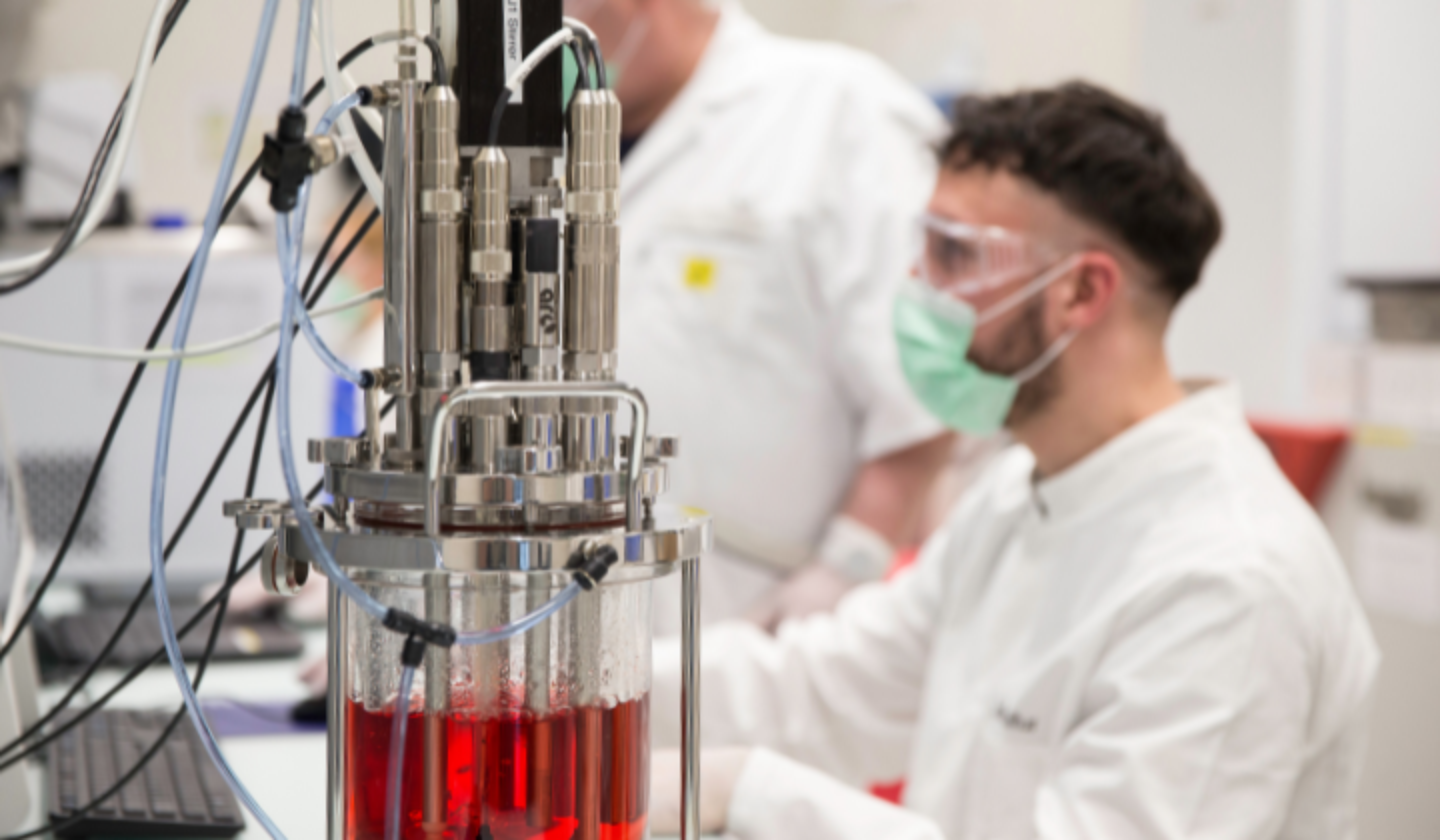 How is cell culture manufacturing leveraged for cultivated meat? How is cell culture manufacturing leveraged for cultivated meat?