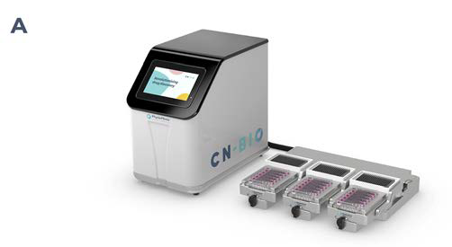 The PhysioMimix OOC enables the generation of 3D human liver microtissues, functional for up to four weeks. A) The liver in vitro model is generated by the PhysioMimix OOC Microphysiological System, which uses open well-plates designed for the culture of primary liver cells in 3D in an engineered scaffold. B) Schematic representation of a PhysioMimix Multi-chip Liver plate, which features an open-well design for the coculture of PHHs and HKCs in 3D on an engineered scaffold. C) Cross-section of a well indicating the scaffold and fluidic flow perfusion of 3D liver microtissues by micropumps. D) Phase contrast microscopy (10x and 20x) and immunofluorescence (IF) labeling of 3D liver microtissues generated by coculturing PHHs and HKCs in the Liver MPS for assessing DILI. To visualize the HKCs, prior to seeding HKCs were transduced with an adenoviral vector expressing eGFP. Representative photomicrographs are shown. The transduction and imaging were performed as a standalone experiment to demonstrate cell localization. HKCs cells are pre-validated in-house prior to use in experimental cell culture, and must have low levels of post-thaw activation; this is assessed by measuring biomarkers IL-6 and TNF-α.