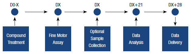 Enhancing motor function assessment: The precision of fine motor kinematic analysis in pharmacological studies