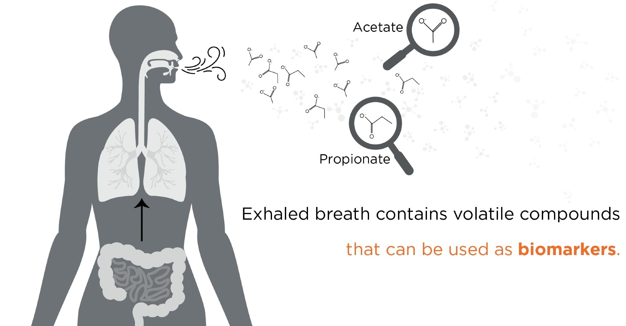 Can studying the microbiome help with cancer research?