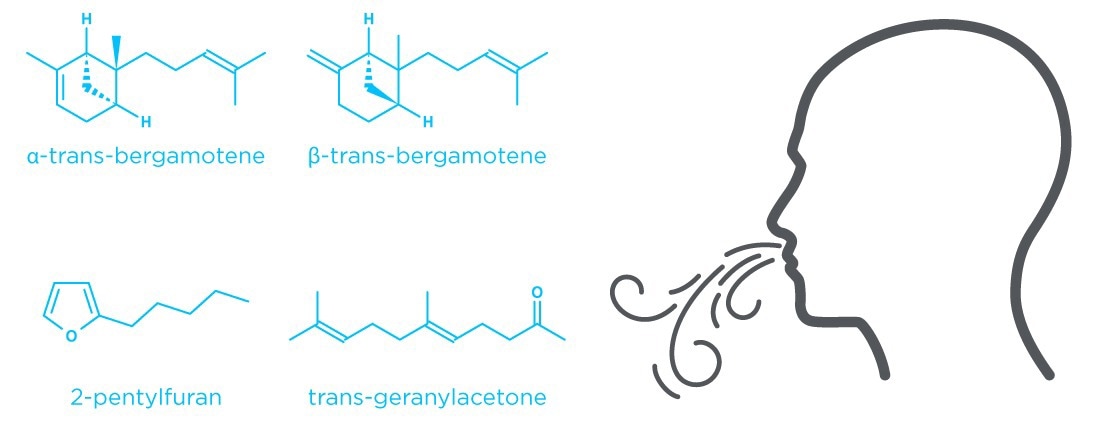Secondary metabolites found on breath in patients with invasive aspergillosis and not in healthy controls.