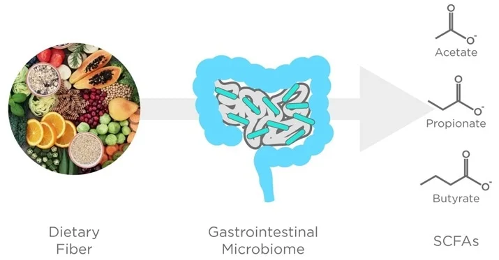 What disease areas can benefit from breath analysis?