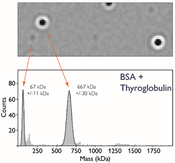Single molecule detection with mass photometry