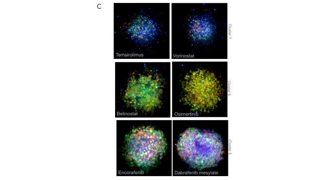 Using StratoMineR for data analysis. A) Scatterplot representing the phenotypic distance score (-log, Y-axis) for each compound is shown. Compound treated samples (blue) compared to negative controls (red) are shown. Hits are identified as those above the red dotted line (p≤ 0.05). B) Results from the cluster analysis are represented as a hierarchical dendrogram. Left: The cluster ID and colored bars indicate which cluster a compound treated spheroid belongs to. Rows represent the included factors and columns represent the compound treatment. Middle: Correlation matrix is shown to give an overview of the similarity/ dissimilarity between the compounds. Columns and rows represent compounds used. The intensity of the color represents the similarity based on the calculated cosine vector score from the PCA factors. Right: Bar graph showing the contribution of each PCA factor to each compound hit. C) Example images grouped by cluster from the Cell Painting assay. Three of the stains, Hoechst (blue, nuclei), SYTO 14 (green, RNAP) and MitoTracker (red, mitochondria) are represented as a composite image. An example of a control DMSOtreated spheroid and spheroids from cluster 7, 6 and 5 are shown.