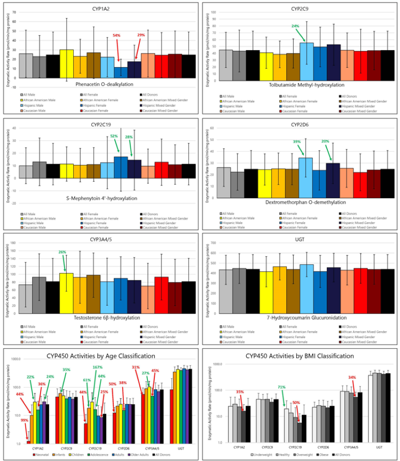 Average Activites of Major Drug Mdetabolizing Enzymes in Cryopreserved Human Hepatocytes Grouped by Gender and Race,Age or BMI