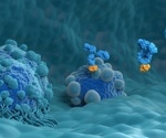 The rapid characterization of a monoclonal antibody