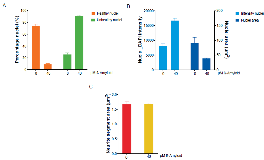 Exposure of ioGlutamatergic neurons to β-amyloid increased nuclei intensity, decreased nuclear area and reduced the number of healthy nuclei. (A) Quantification of healthy versus condensed (unhealthy) nuclei, (B) DAPI intensity and nuclei area (μm2) and (C) neurite area (μm2) in untreated or 40 μM β-amyloid-treated ioGlutamatergic neurons. Bars represent mean values of six wells (n=6) with error bars indicating standard deviation.