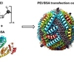 Non-Invasive Particle Size Monitoring of Polymer-Based Vectors for Cell Transfection in Process Vessels