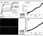 Protein aggregation by peristaltic pumping: Submicron and subvisible particles monitored with a single instrument
