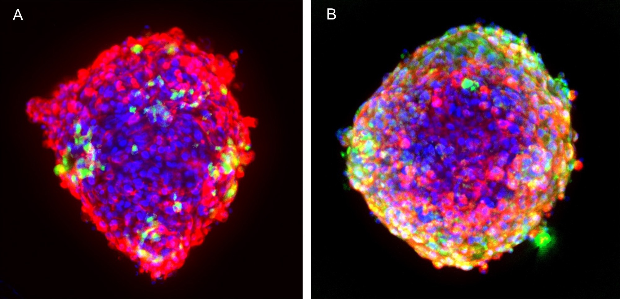 Image Credit: Molecular Devices
