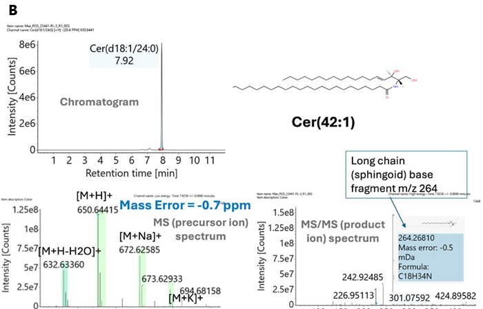 Example Cer(42:1) identification at 7.92 min as the in Lipostar2 (A) and in waters_connect Platform (B)