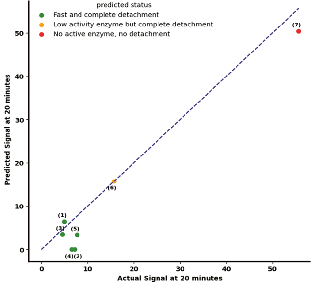 The predictive performance of the developed model using permittivity signals obtained from the Incyte Arc Expert sensor