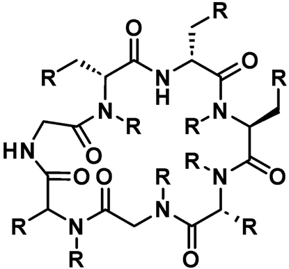 Advancing peptide synthesis using non-canonical amino acids