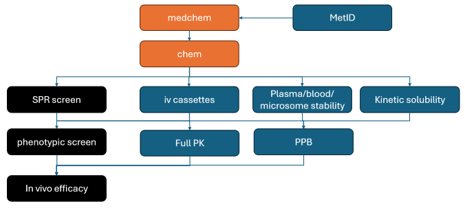 Driving success with peptide lead optimization solutions
