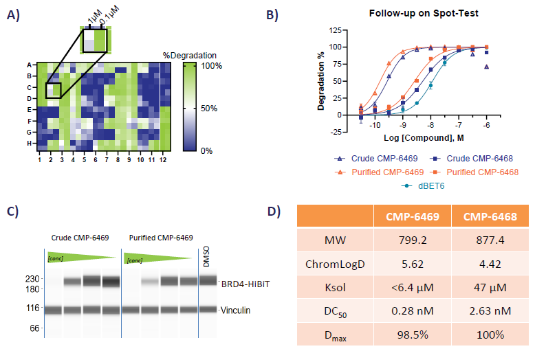 A) Heat map of % degradation data B) Full Dose-response of some of the Hits identified. C) CMP-6469, assayed through JESS WB D) Table showing some of the PhysChem properties of the PROTACs screened.