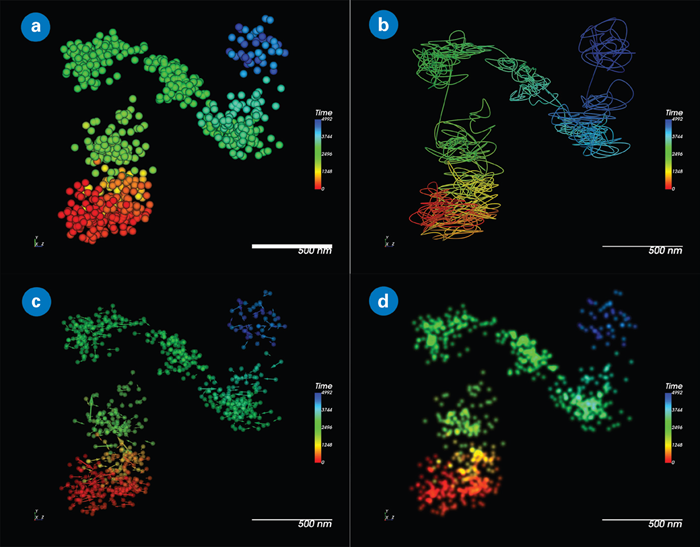 Static track visualization options in SRX. QD655 colored by time: (a) Point cloud of tracked localization; (b) Streamline representation; (c) Displacement vectors; and (d) Natural-image-like representation