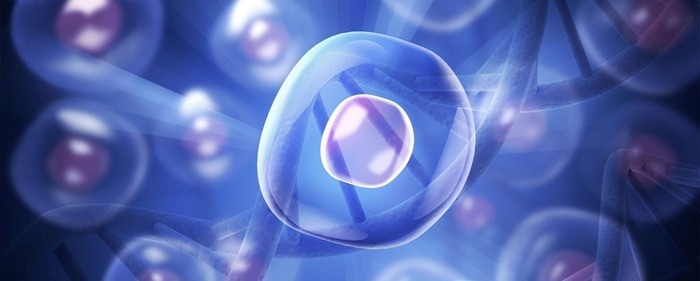 How single-cell sequencing is reshaping our understanding of cellular diversity