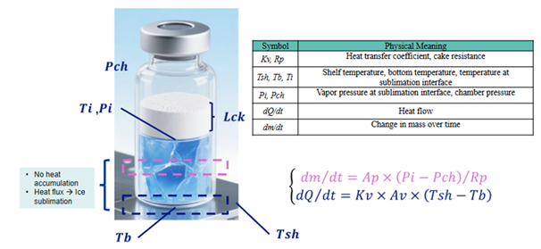 Pikal model and formula.