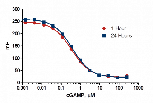 cGAS Signal Stability at 1 and 24 hours with Transcreener cGAMP FP Assay