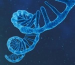 IVT Raw Materials for RNA Therapeutic Manufacturing