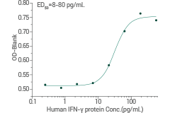 IFN-γ: A therapeutic target for cancer therapy