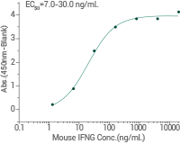 IFN-γ: A therapeutic target for cancer therapy