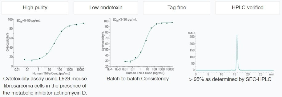 Pro and anti-inflammatory cytokines in chronic inflammation
