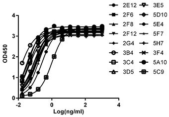 A novel rabbit MonoRab technology
