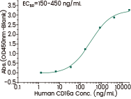 Potentiated CD16 activated ADCC CAR-NK cells