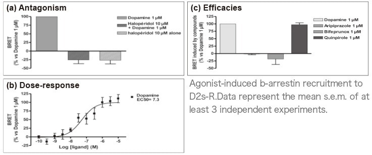 FDSS-GX Kinetic Plate Imager for HTS