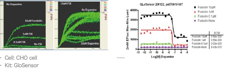 FDSS-GX Kinetic Plate Imager for HTS